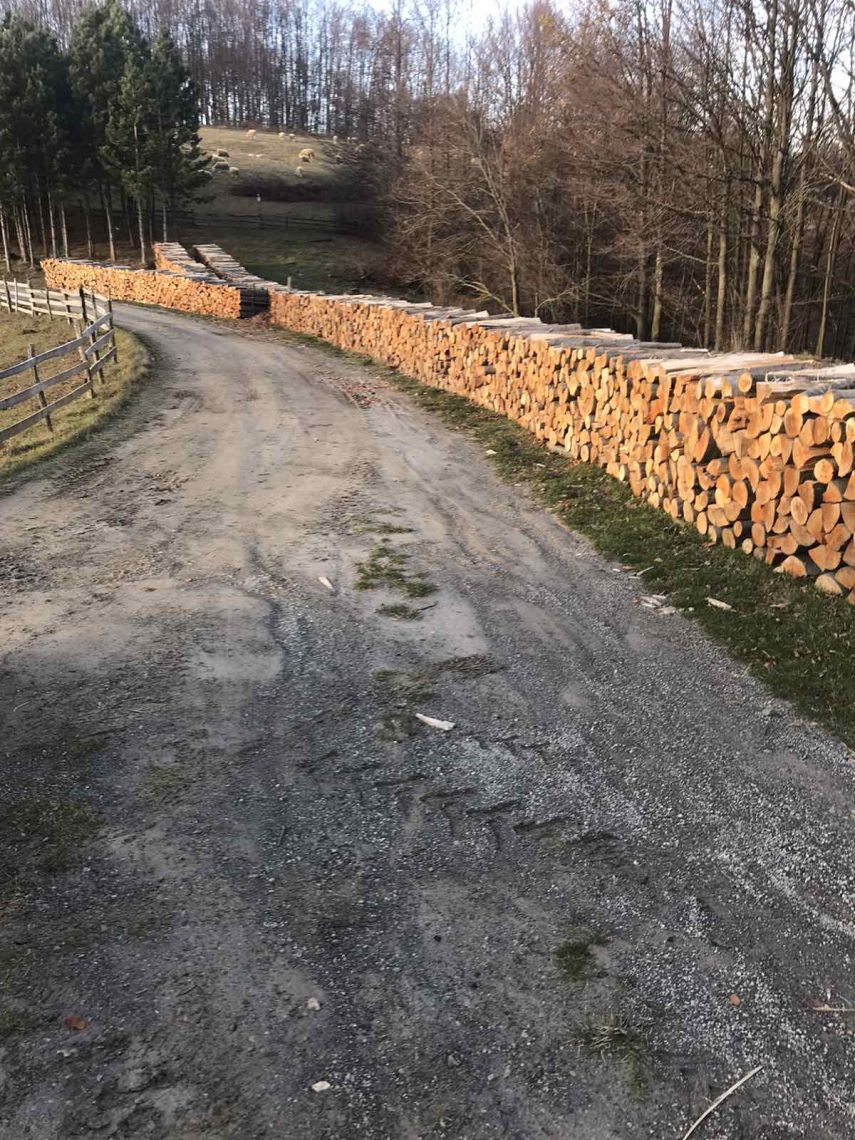 Prodaja ogrevnog drveta (bukva) na veliko