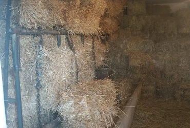 Prodajem ovogodisnju slamu. 200 din komad – 0643204423