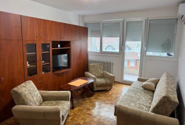 Jednoiposoban stan u centru grada