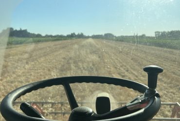 Prodajem zemlju u Slepčeviću 1h75ar