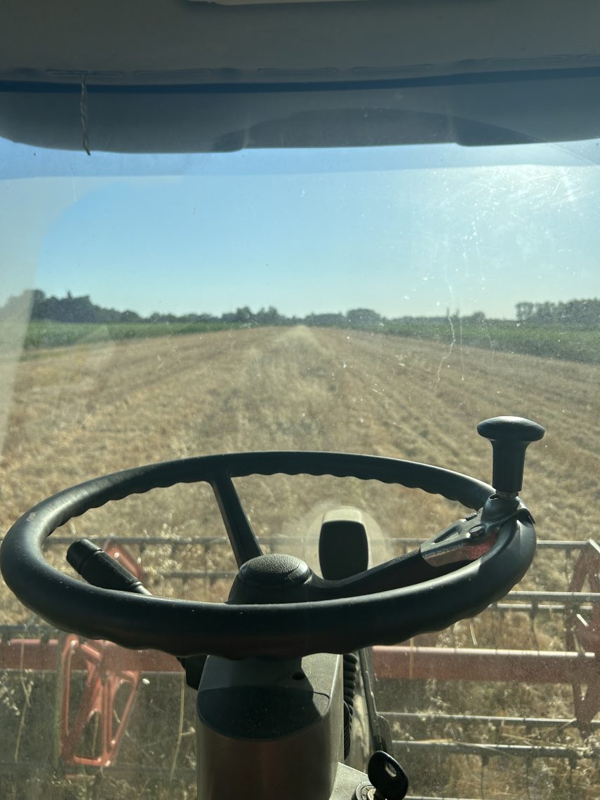 Prodajem zemlju u Slepčeviću 1h75ar