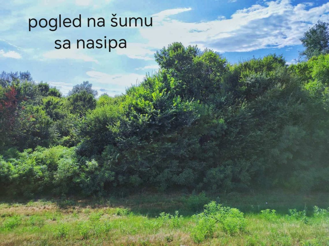 Plac 2.7ha i šuma 0.35ha na Savi, Šabac