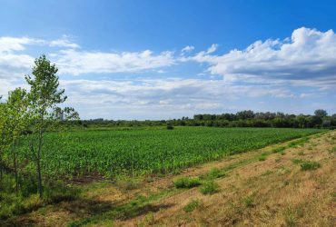 Plac 2.7ha i šuma 0.35ha na Savi, Šabac