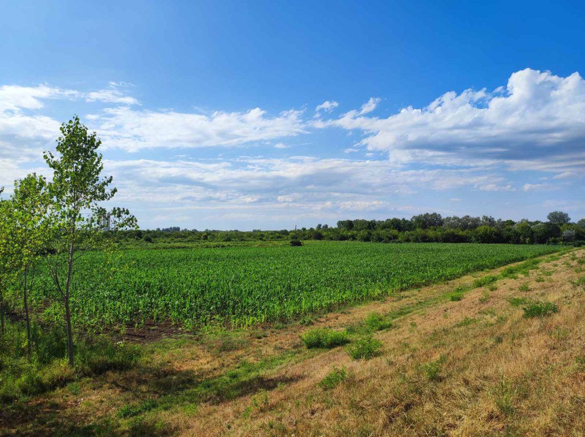 Plac 2.7ha i šuma 0.35ha na Savi, Šabac