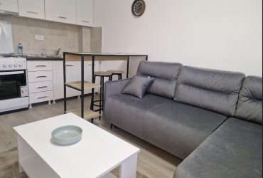 Loznica stan za izdavanje