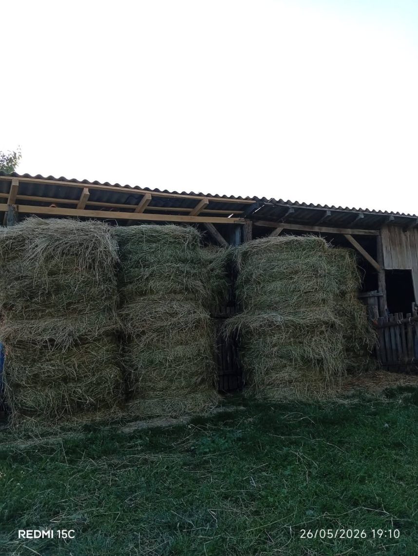 Detelina Rol bale